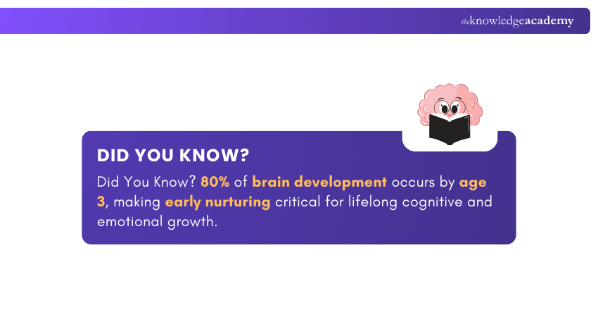 Brain development Brain development