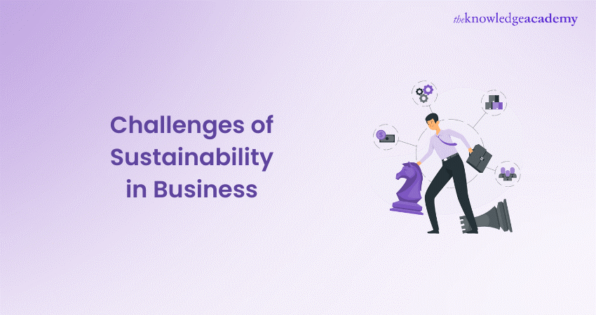 14 Challenges of Sustainability in Business 