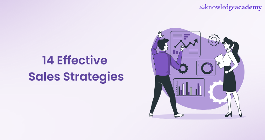 14 Effective Sales Strategy to Grow your Business