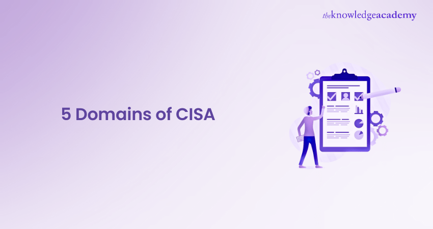 5 Domains of CISA