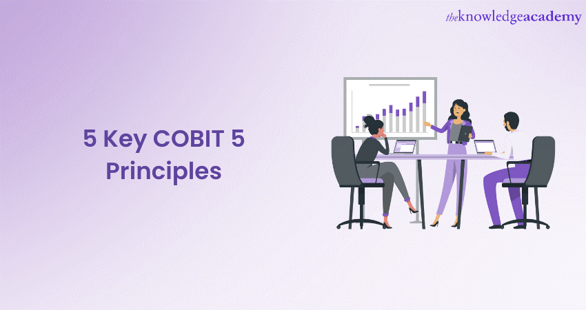 5 Key COBIT 5 Principles: All You Need to Know 