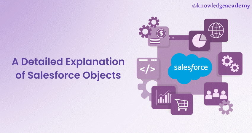 A Detailed Explanation of Salesforce Objects