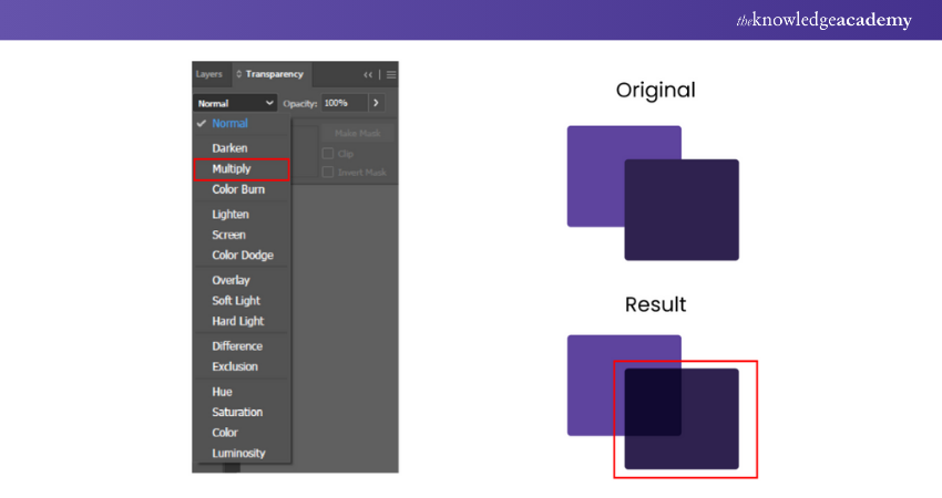 How to Use Adobe Illustrator: Explained in Detail