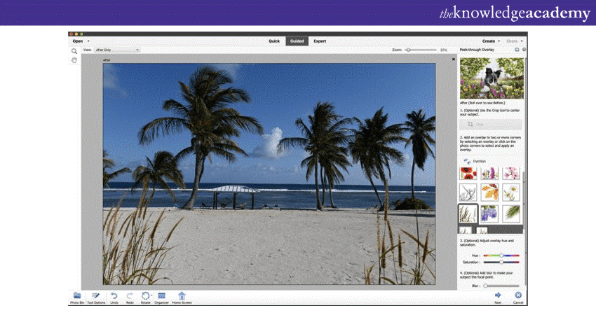  Adobe Photoshop Elements 