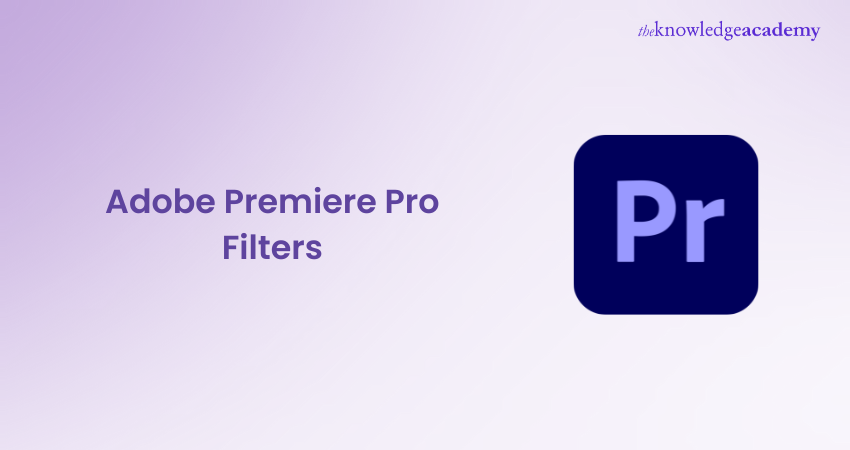 Adobe Premiere Pro Filters