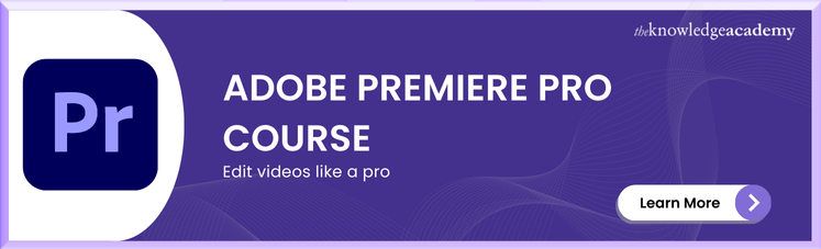 Adobe Premiere Pro Masterclass