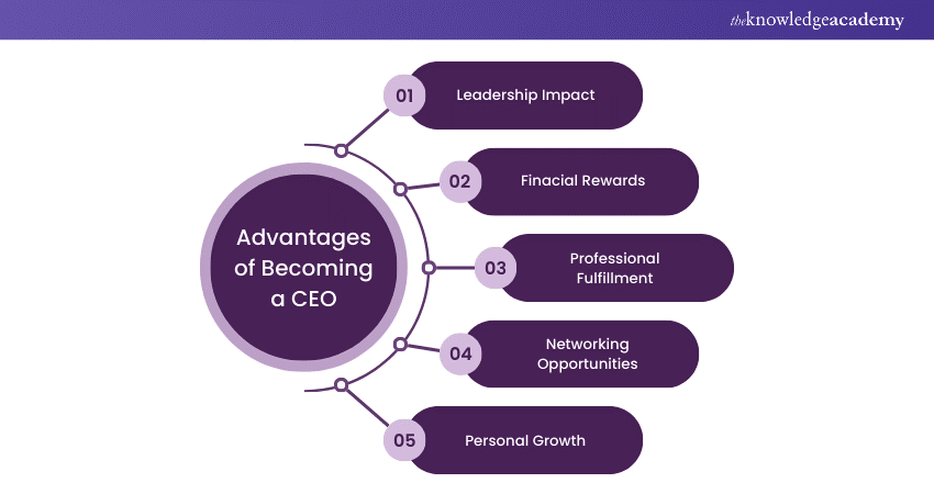 Advantages of Becoming a CEO