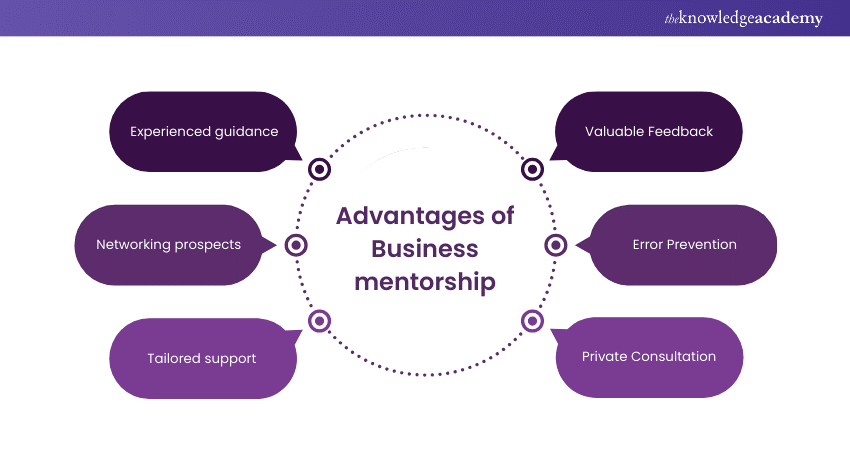 Advantages of Business Mentorship