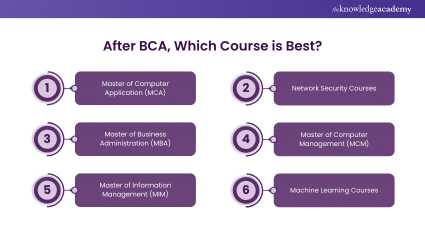 After BCA, Which Course is Best