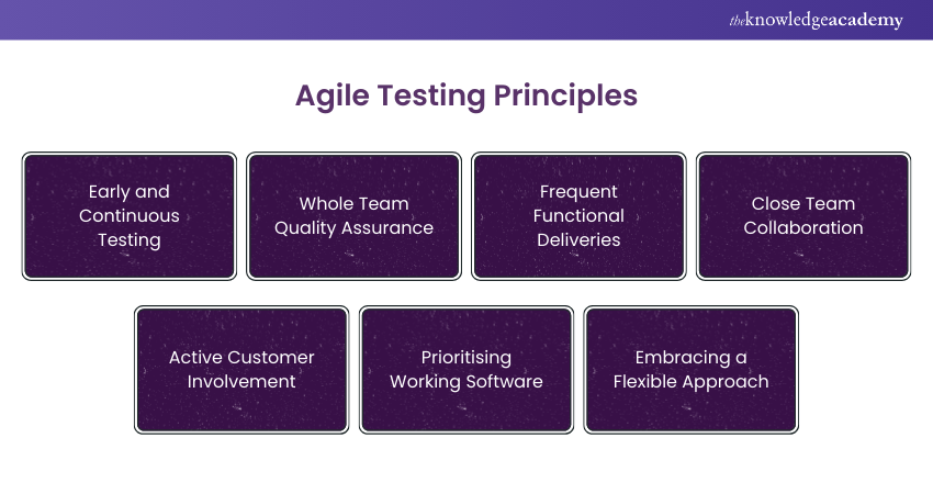 Agile Testing Principles