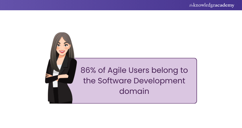 Agile Usage in Software Development