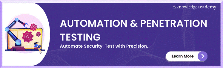 Automation & Penetration Testing 