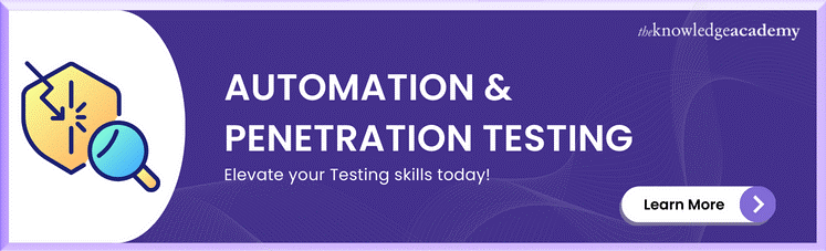 Automation & Penetration Testing 