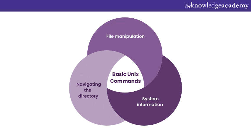 Basic Unix Commands