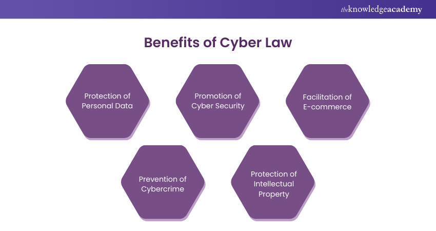 Benefits of Cyber Law 