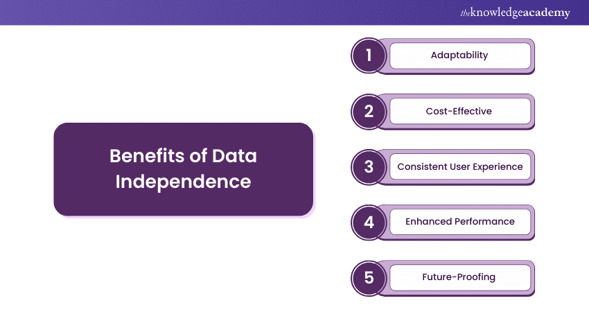 Benefits of Data Independence 