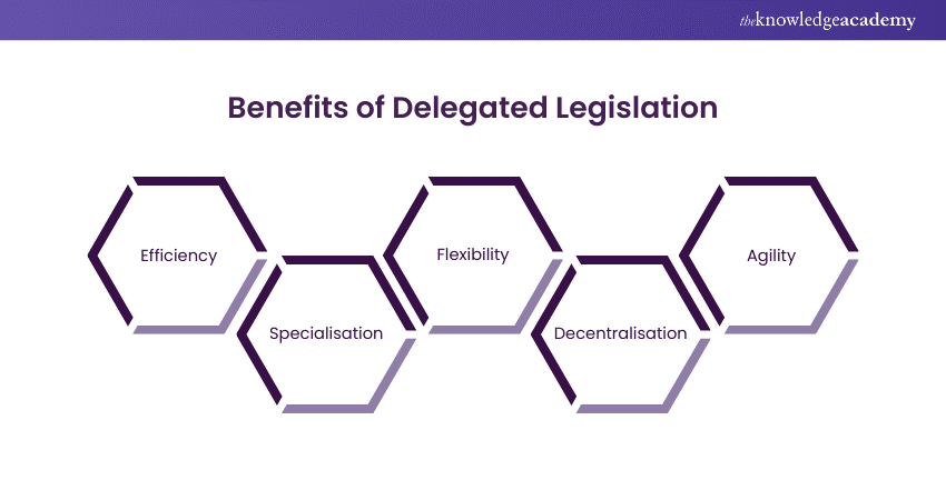 Benefits of Delegated Legislation