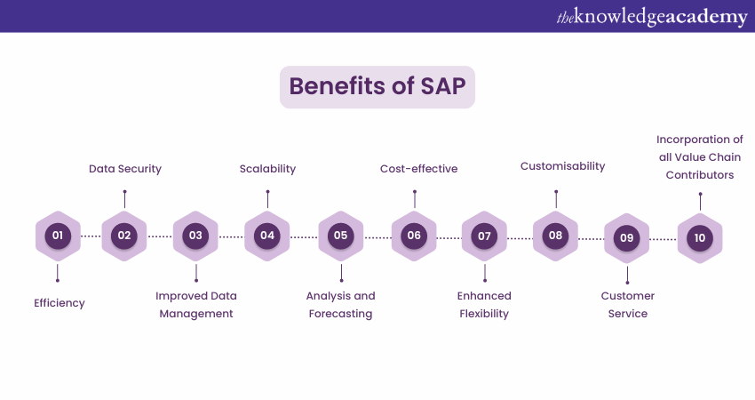 Benefits of SAP