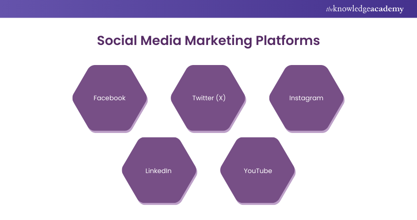 Social Media Marketing Platforms