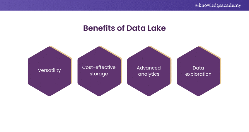 Benefits of a Data Lake