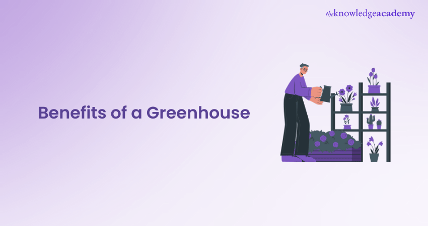 Benefits of a Greenhouse