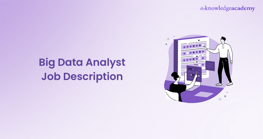 Big Data Analyst Job Description