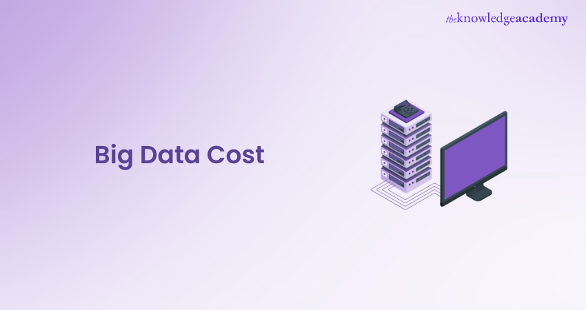 Big Data Cost Efficiency