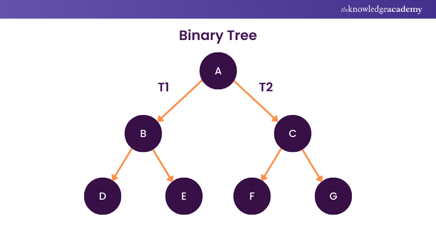 Binary Tree