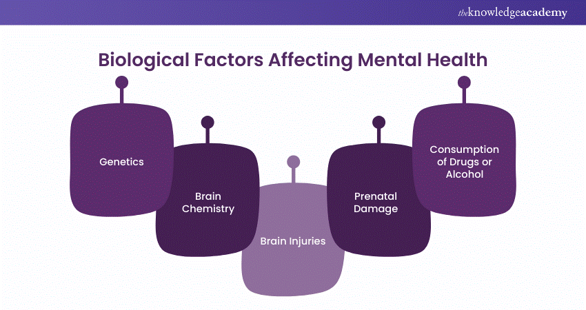 Biological Factors Affecting Mental Health