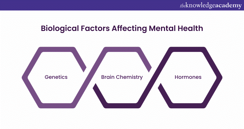 Biological Factors Affecting Mental Health