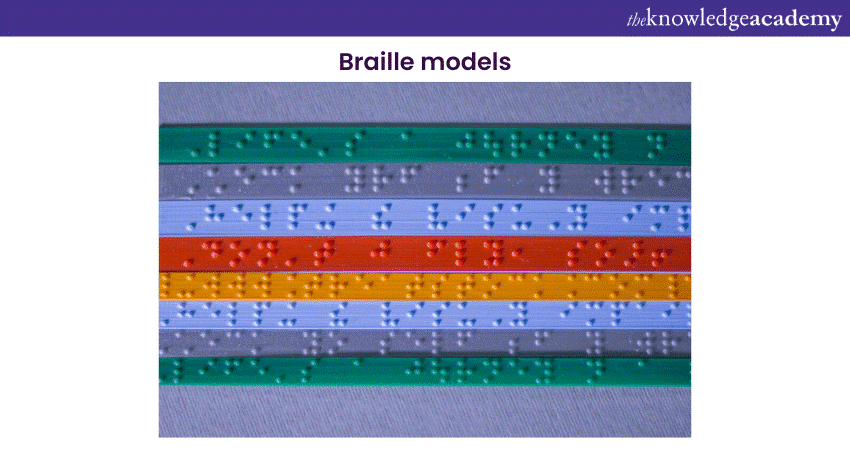 Braille models