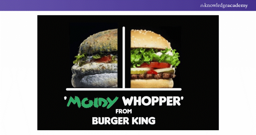 Burger King's Moldy Whopper