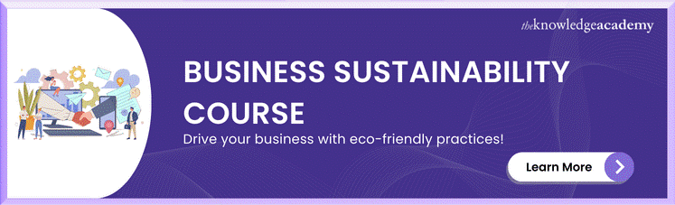 Business Sustainability Course 