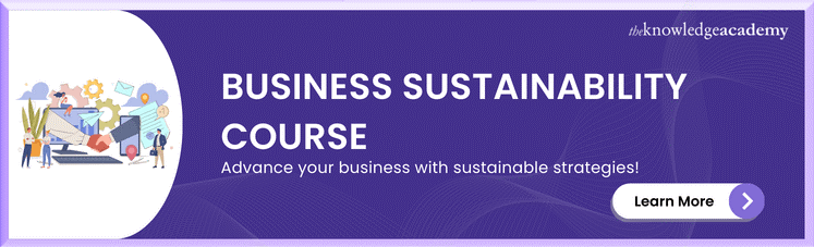 Business Sustainability Course