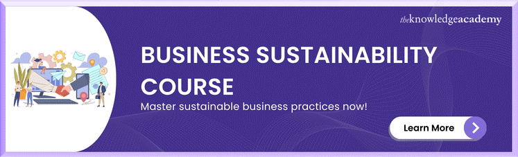 Business Sustainability Course 