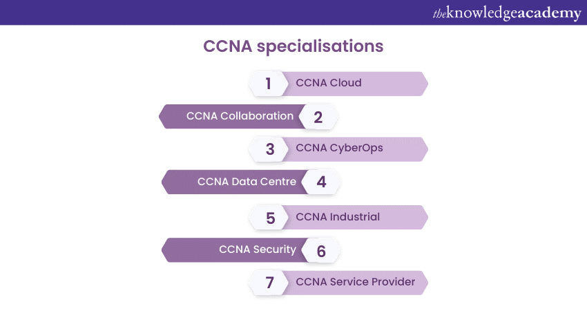 CCNA specialisations