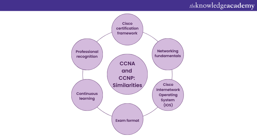 CCNA vs. CCNP Similarities