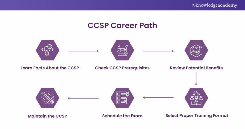 CCSP Career path