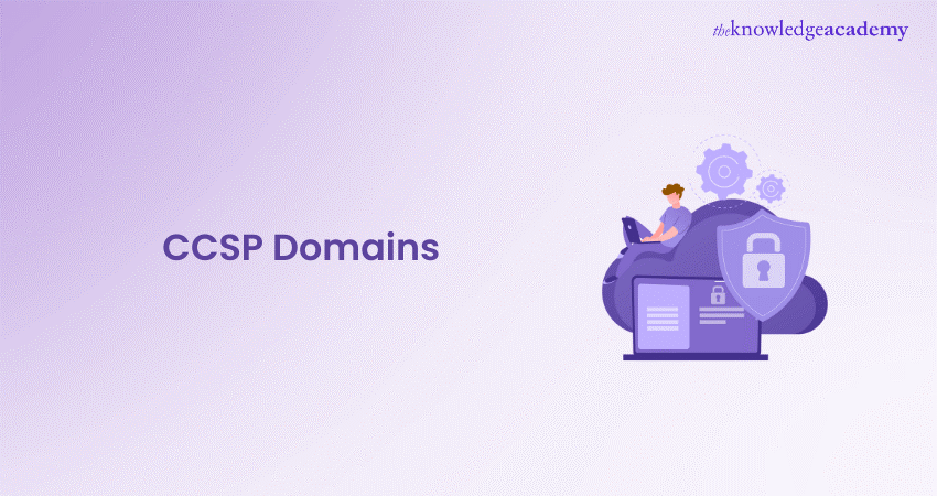 CCSP Domains