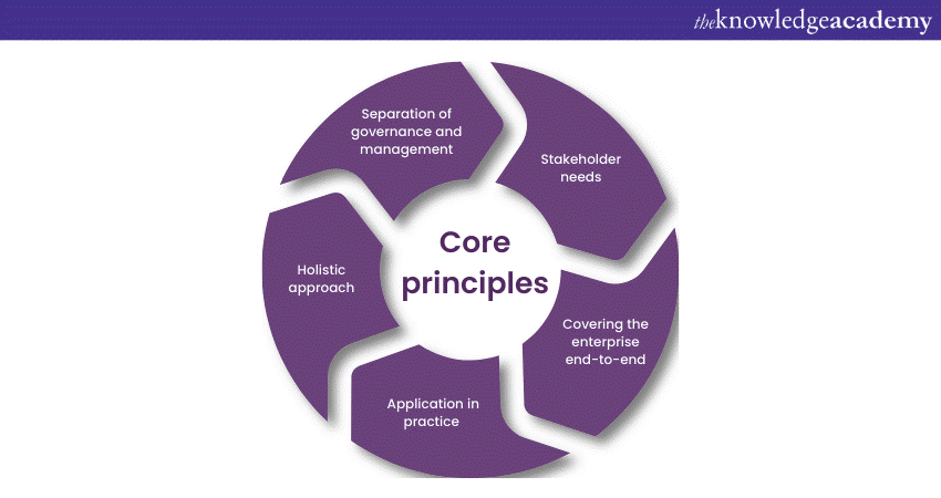 COBIT’s core principle