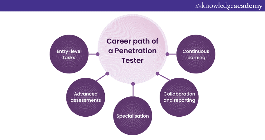 Career path of a Penetration Tester