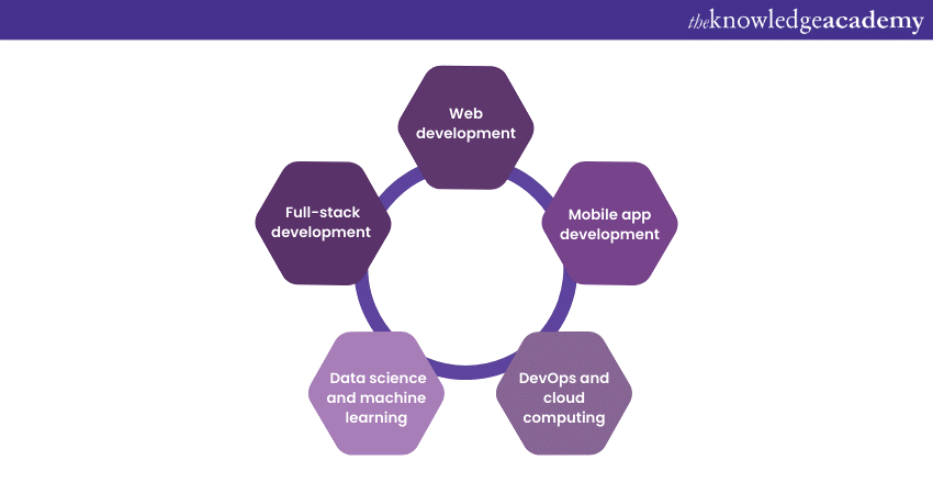 Career paths for Software Engineers