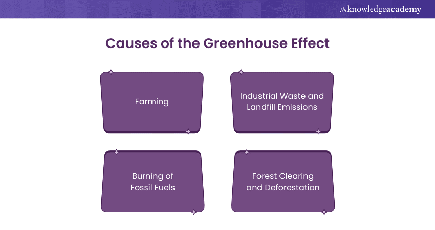 Causes of the Greenhouse Effect 