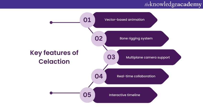 Celaction 2D Animation Software’s key features