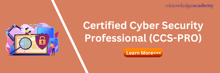 Certified Cyber Security Professional (CSS-PRO)