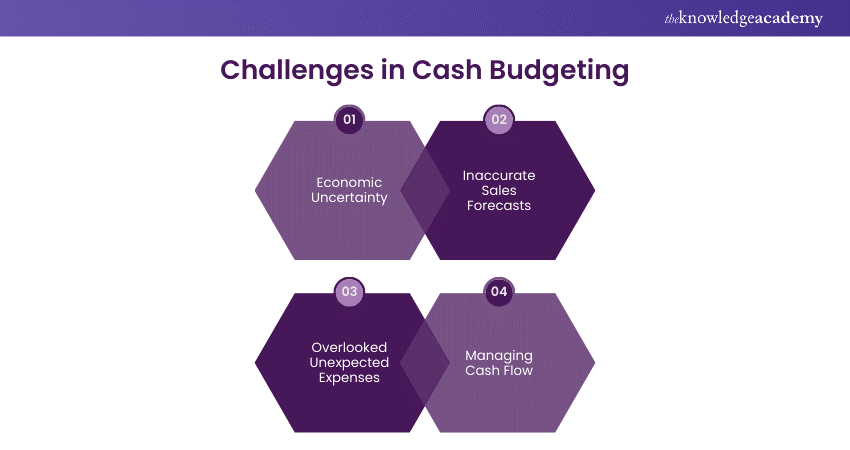 Challenges in Cash Budgeting