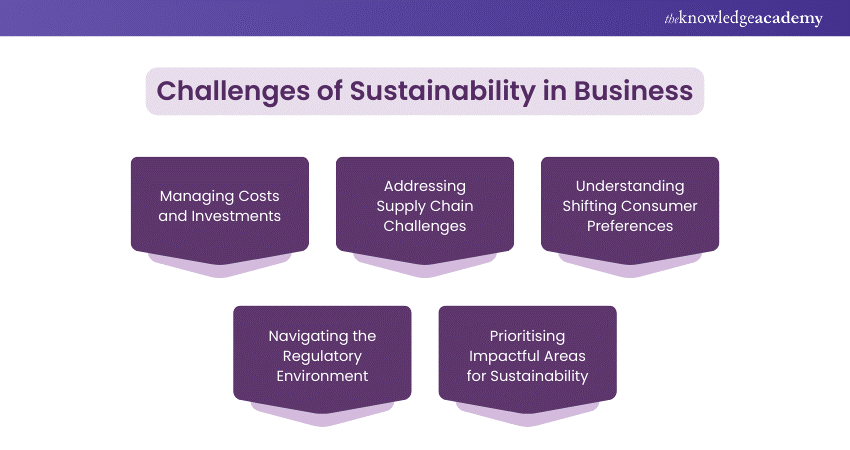 Challenges of Sustainability in Business