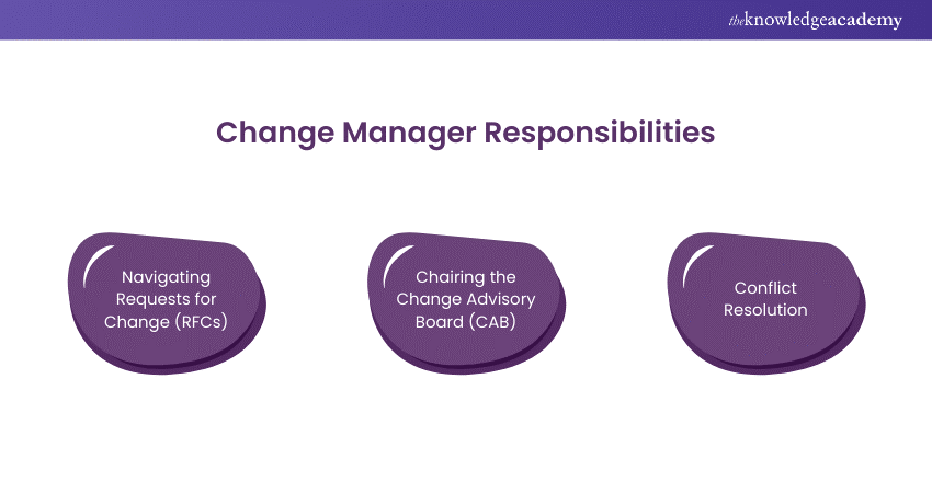 Change Manager Responsibilities