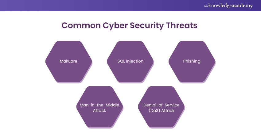 Common Cyber Security Threats