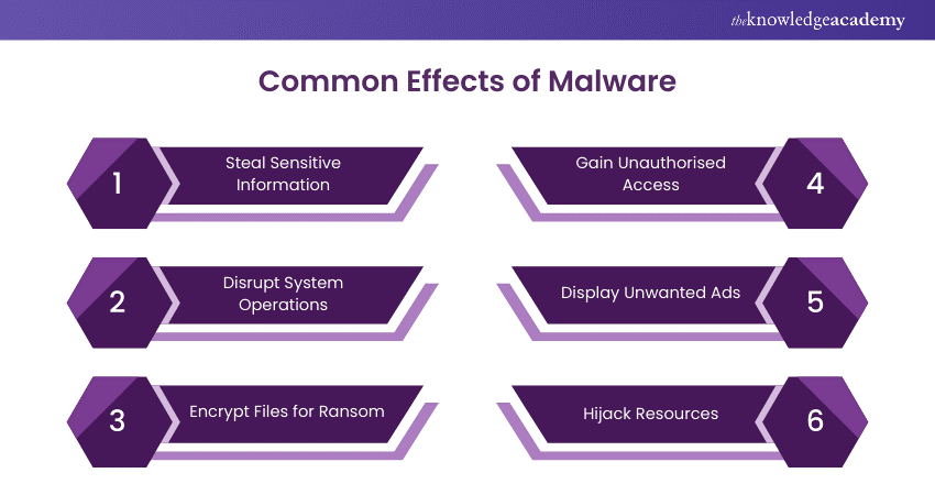 Common Effects of Malware  